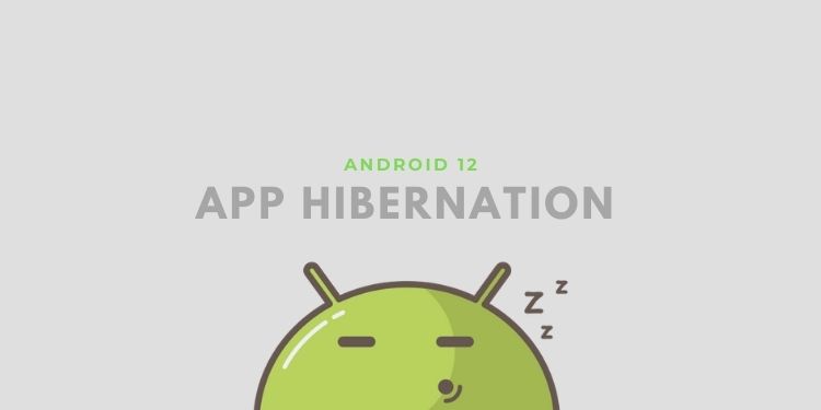 App Hibernation