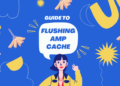 Update AMP cache
