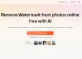 How To Remove Watermark From Photo Using AI | dewatermark.io
